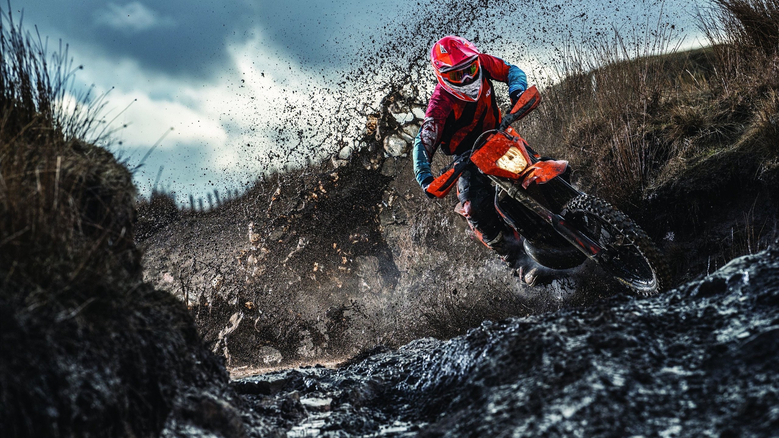 ky体育中国-未来展望：明年最有潜力冲击总冠军的球队，今年最有希望夺冠的球队